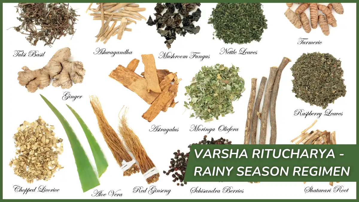 VARSHA RITUCHARYA - Rainy Season Regimen